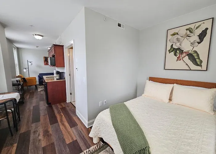Gorgeous And Spacious At The Historic Inman - 200 * Champaign